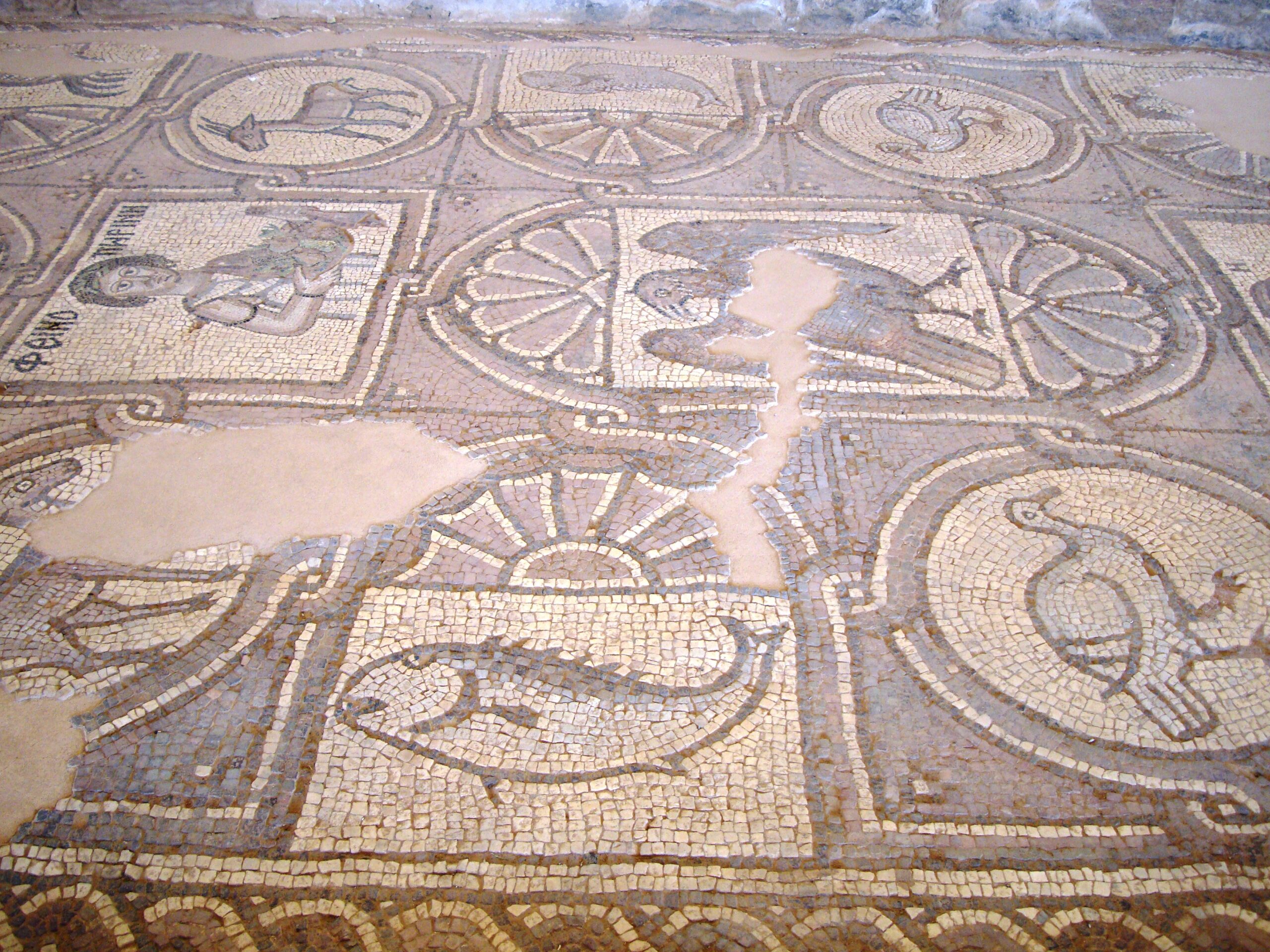 mosaique eglise byzantine petra