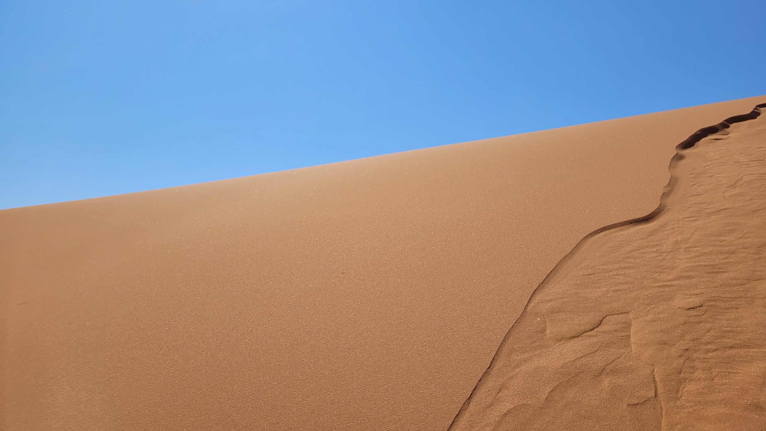 big daddy dune sesriem namibie