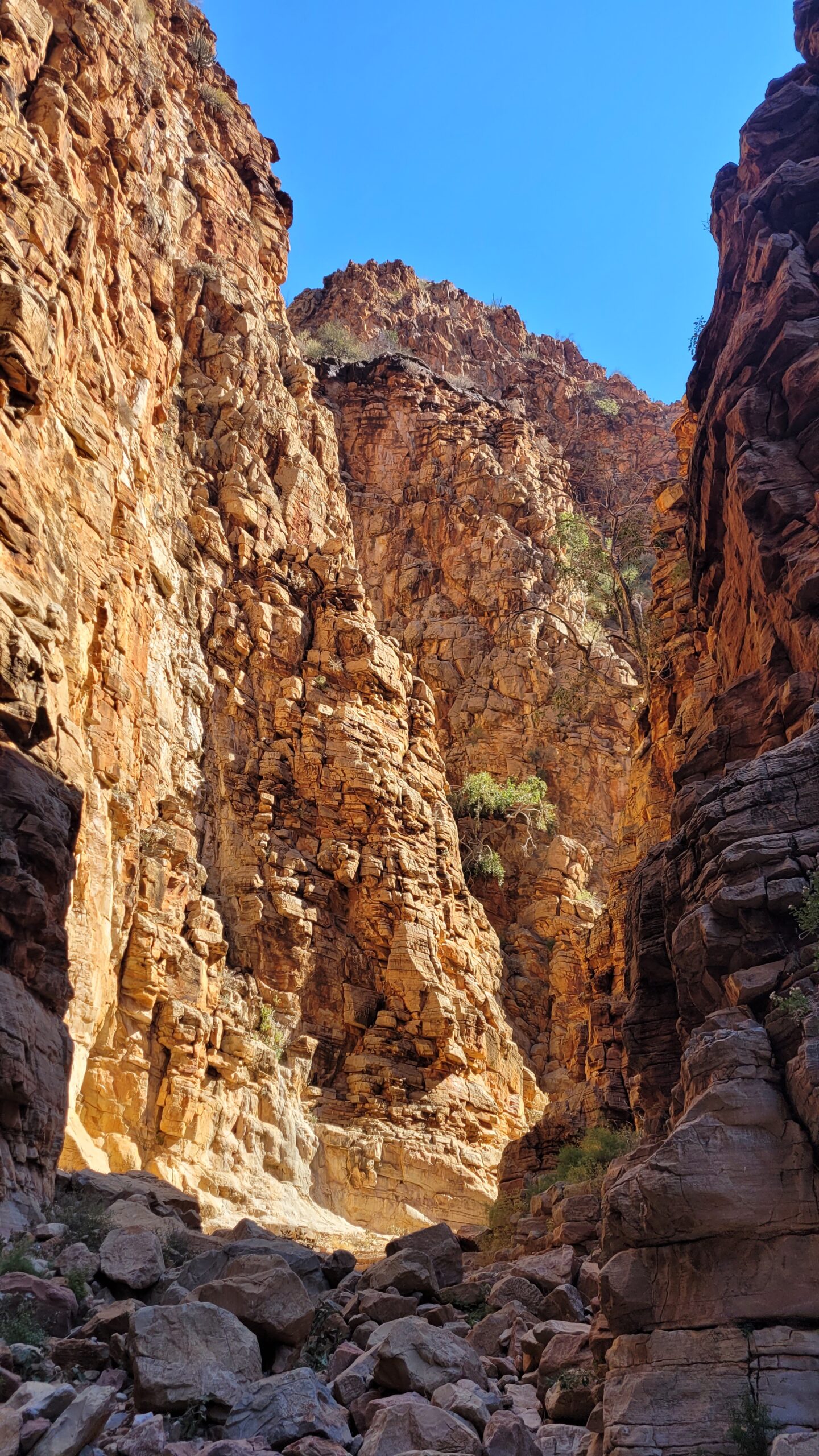 olive trail namibie naukluft canyon