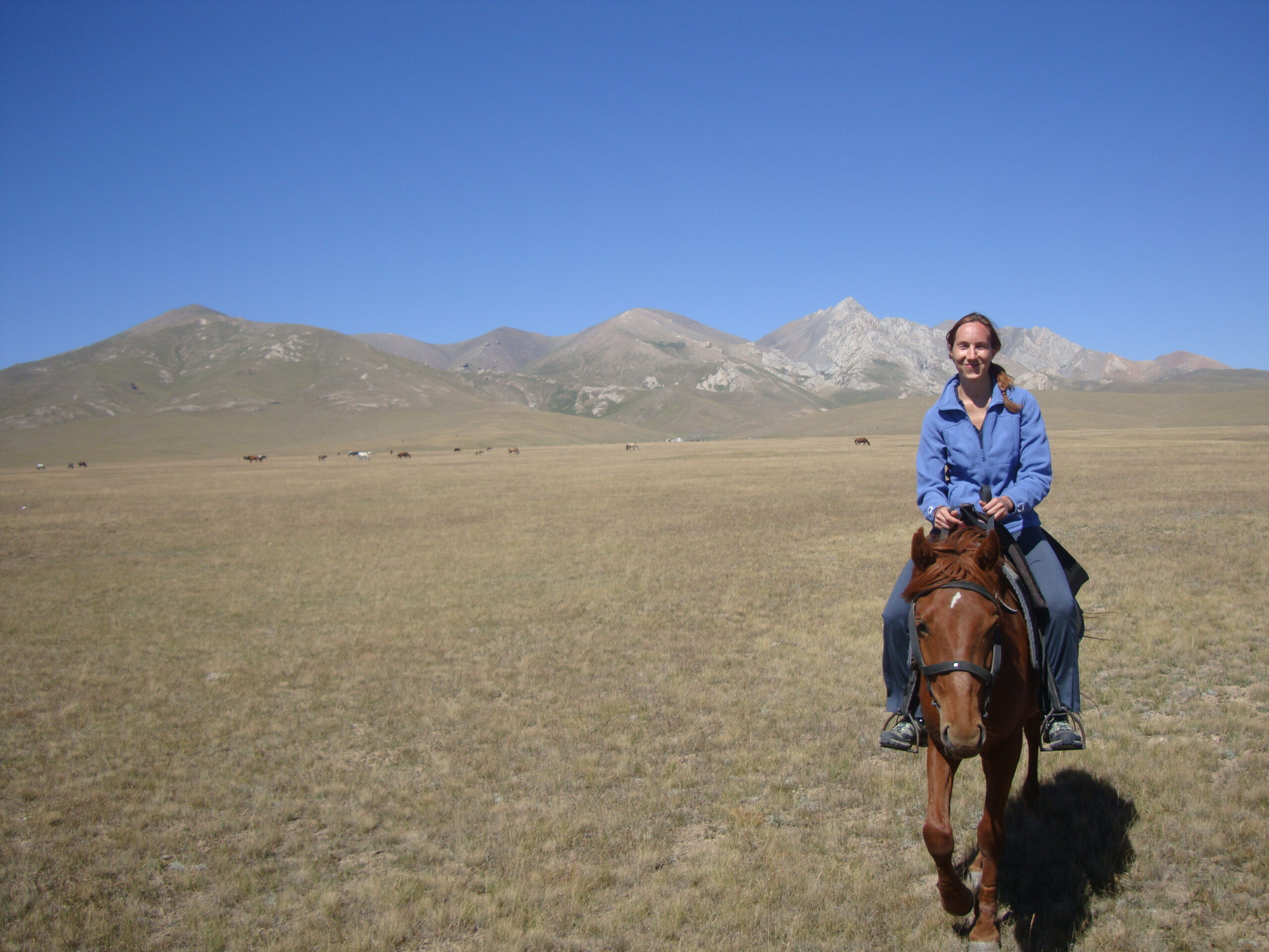 cheval song kul kirghizistan