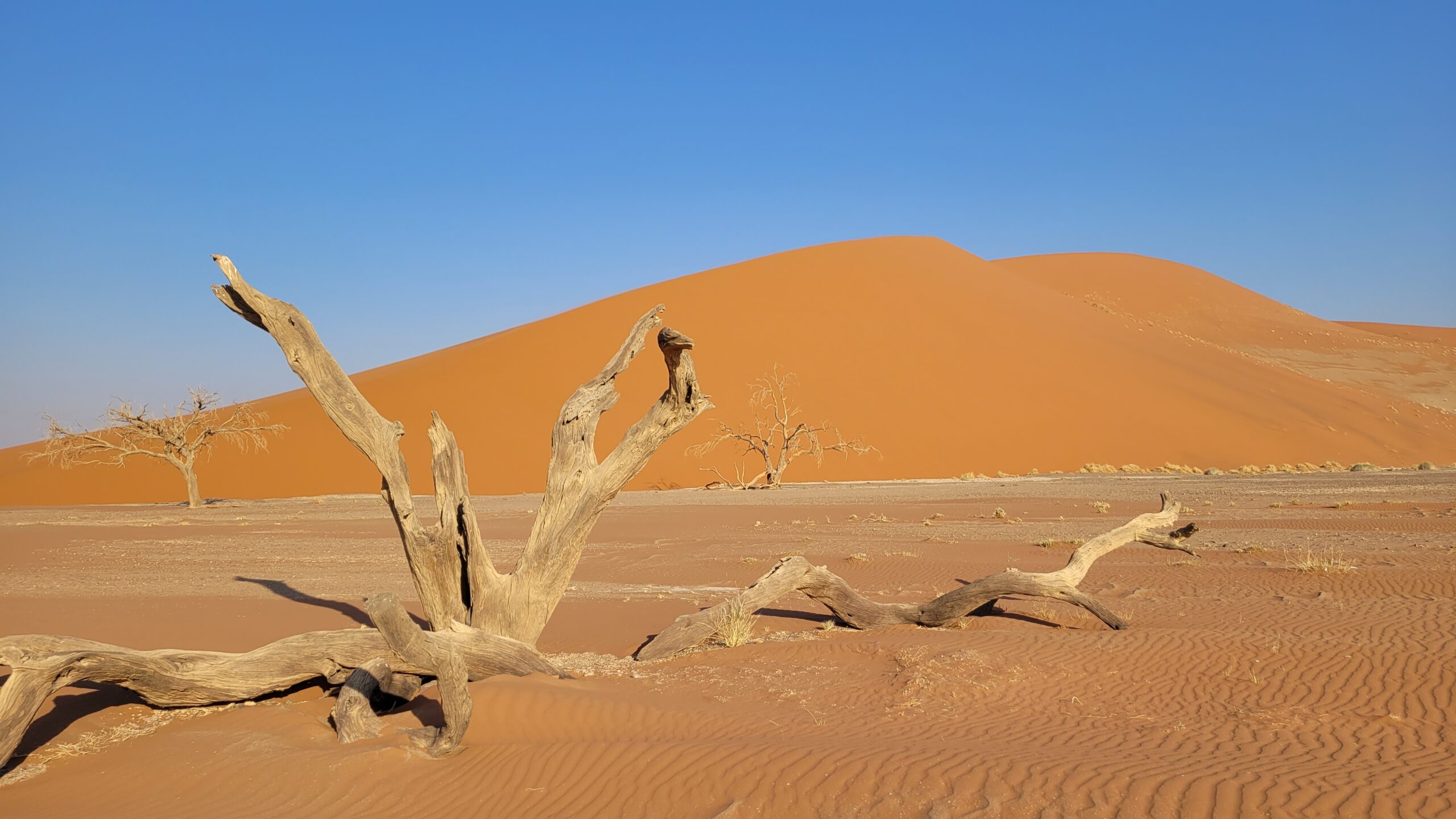 Dune 45 Sesriem Sossusvlei Namibie