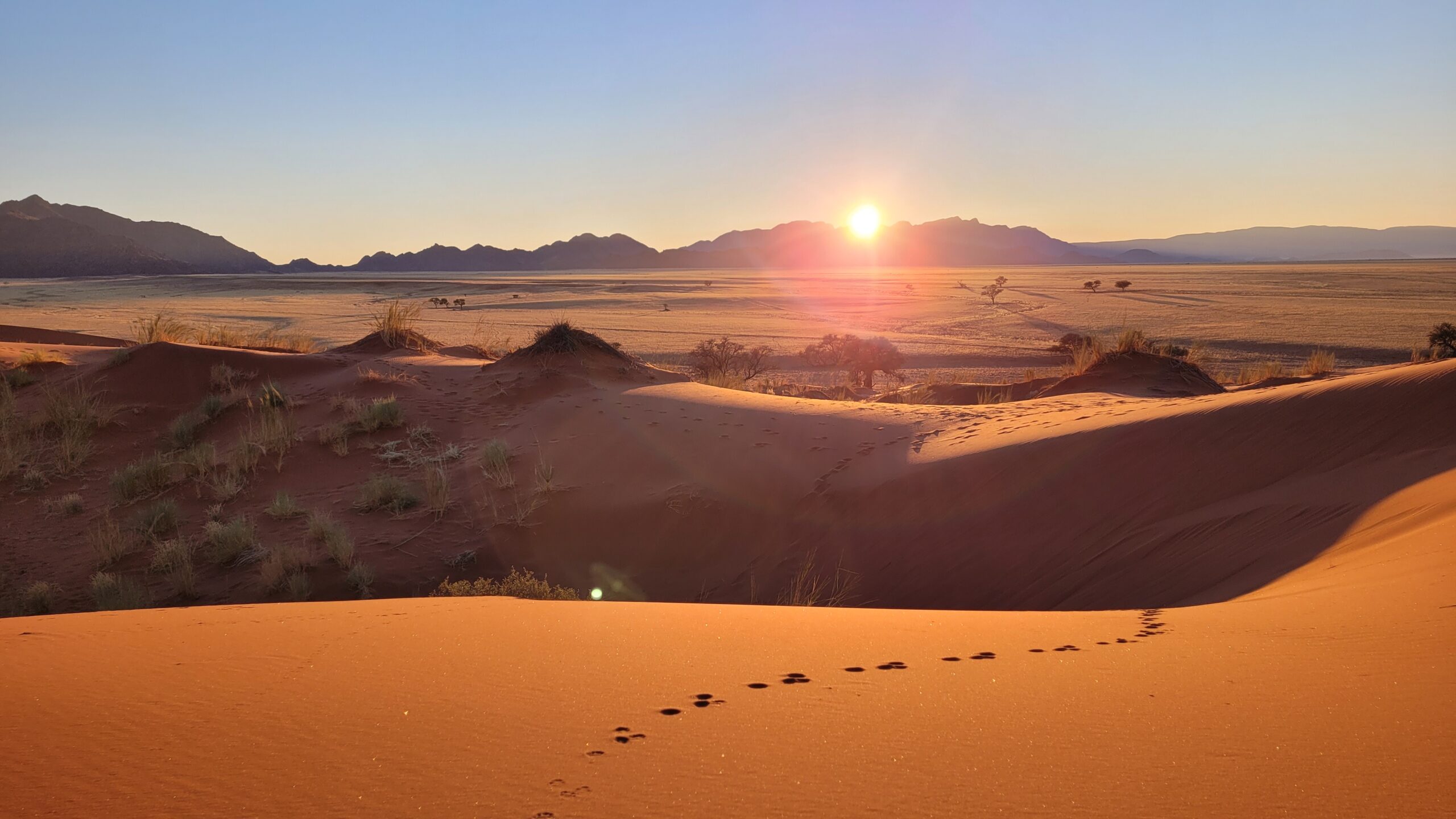elim dune sesriem namibie