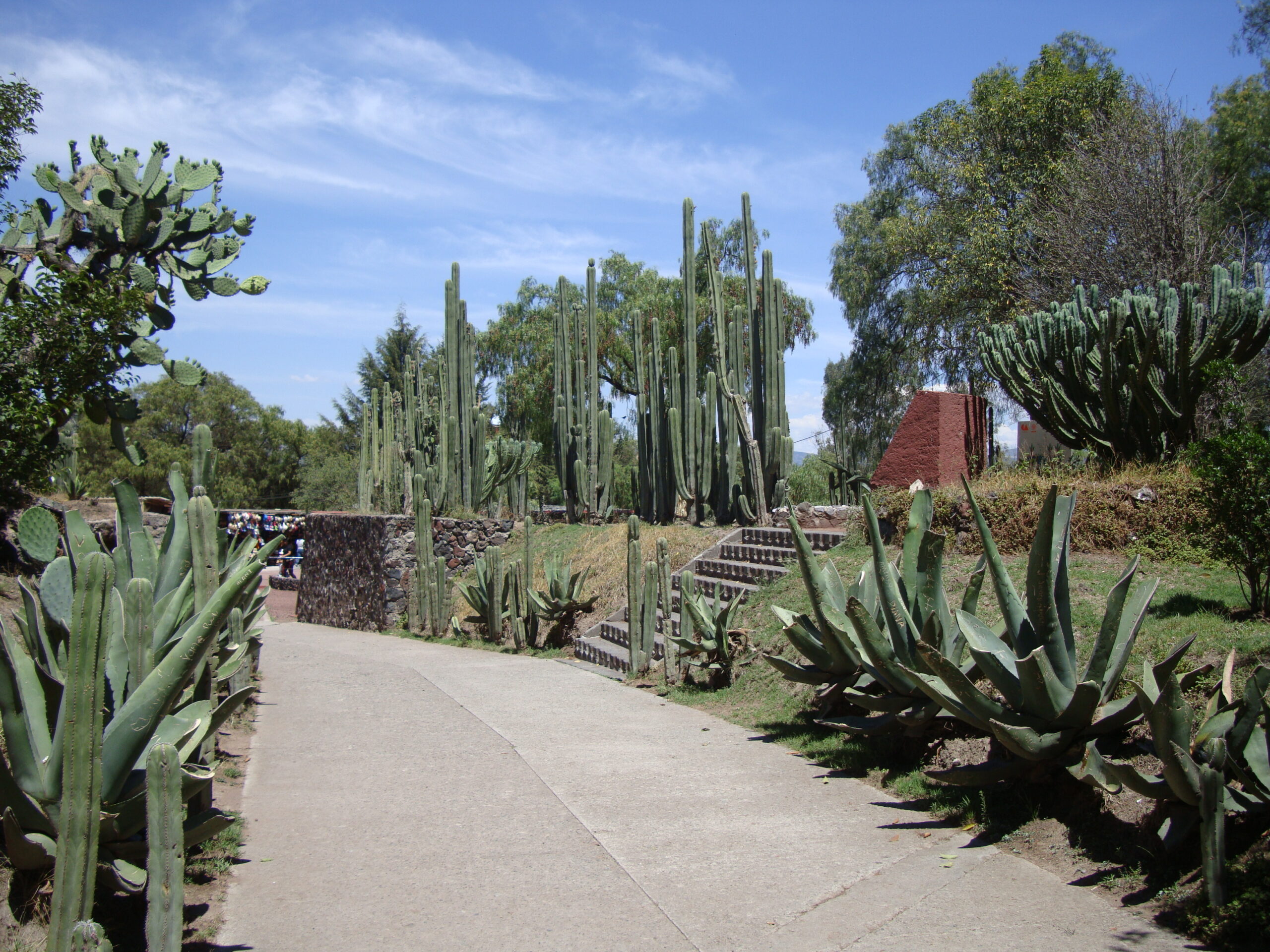 Jardin botanique Teotihuacan Mexique