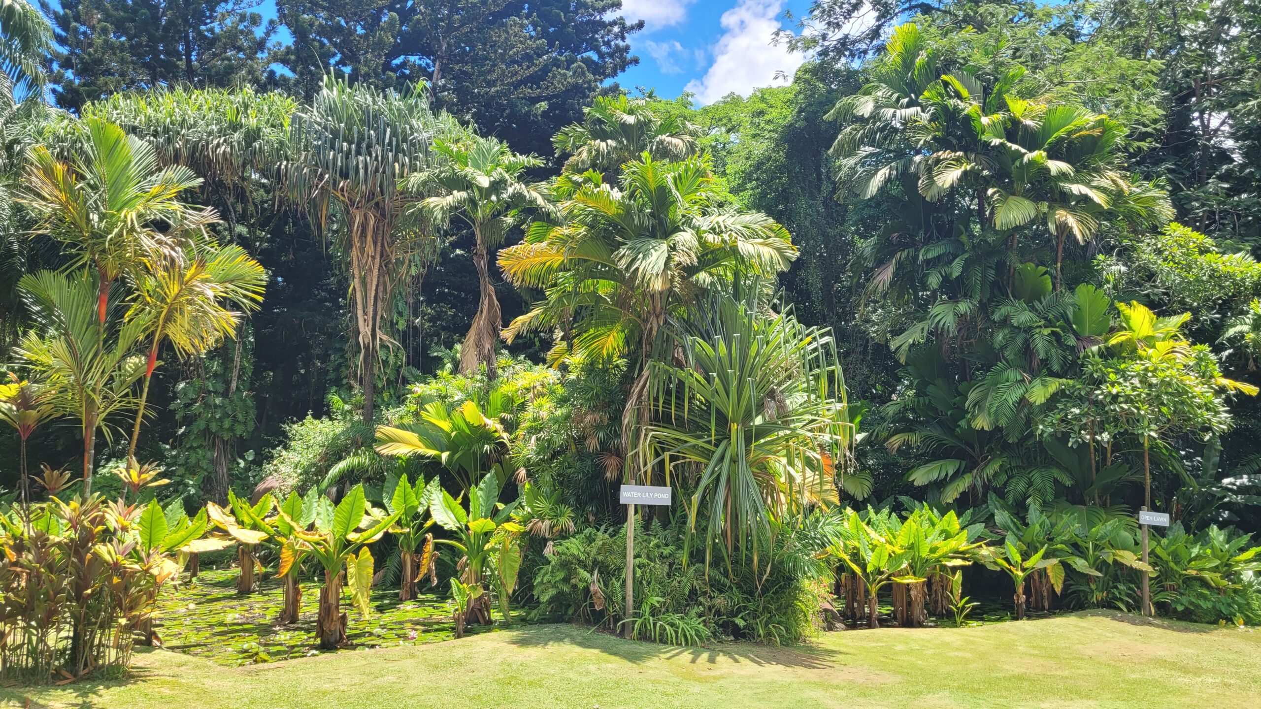 jardin-botanique-victoria-seychelles