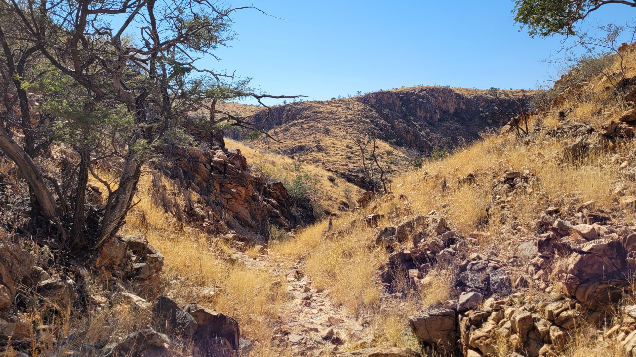 Namibie Olive trail