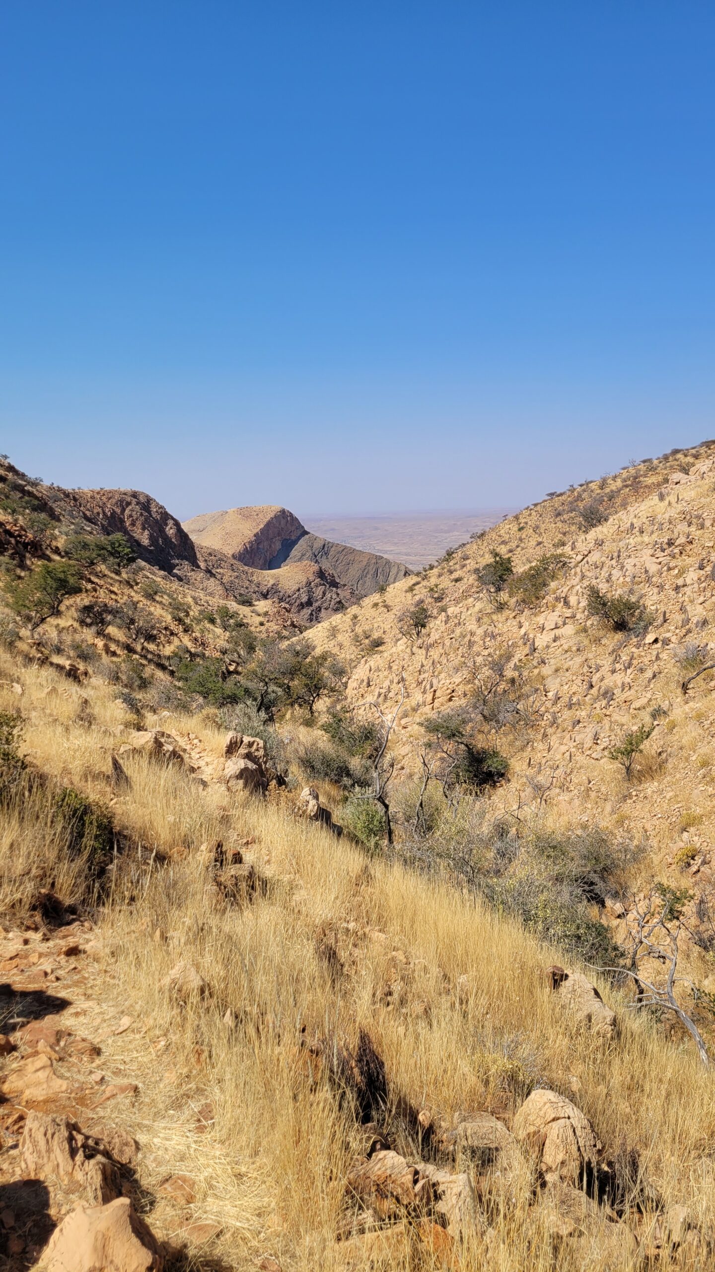 Namibie Olive trail