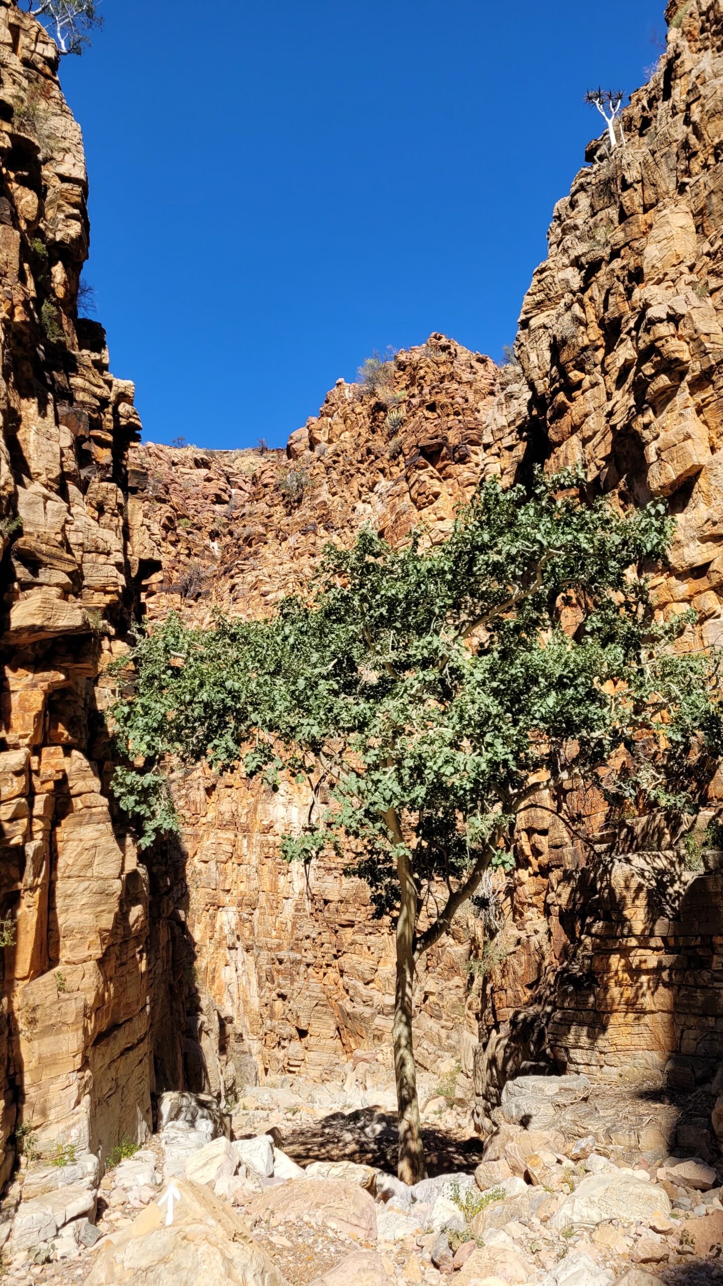 Namibie Olive trail canyon