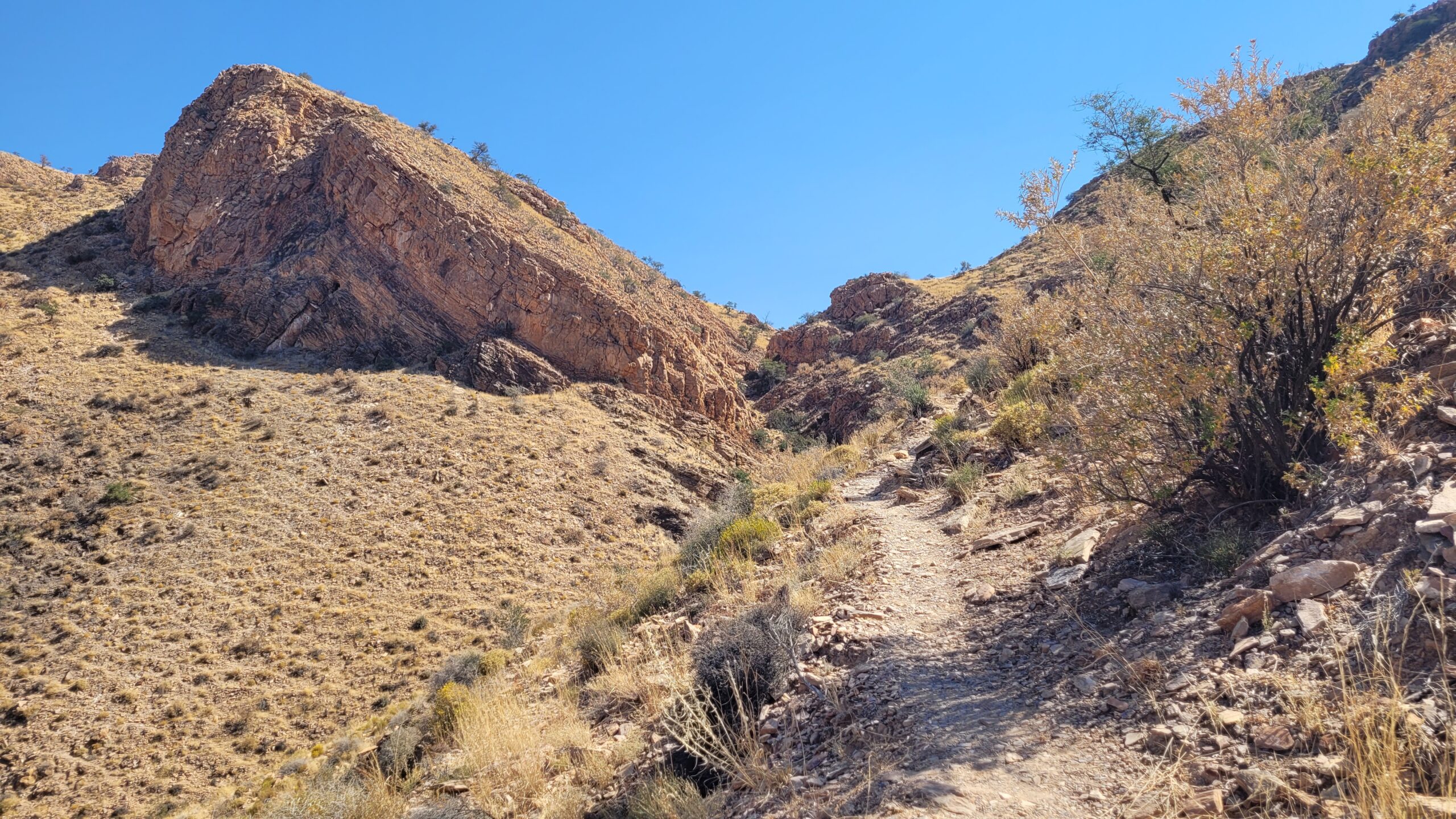 Namibie Olive trail chemin
