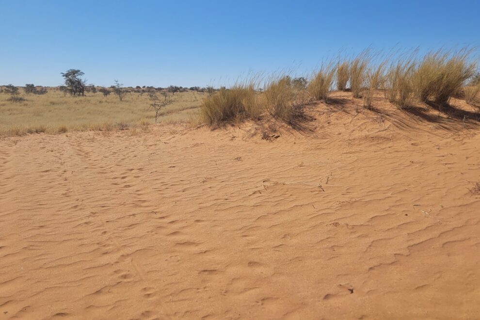 Trans Kalahari walk Namibie