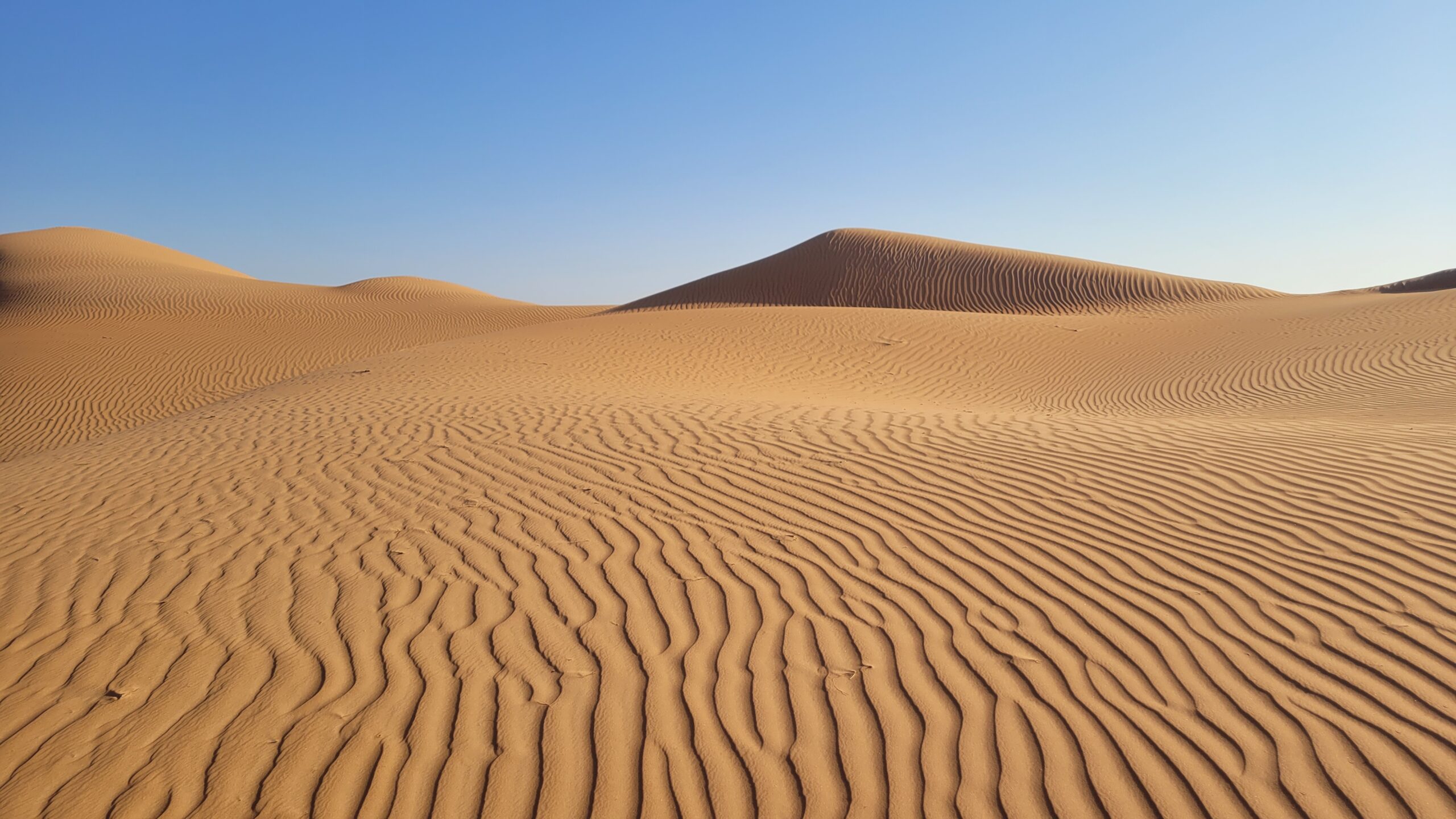 wahiba sands desert dune oman